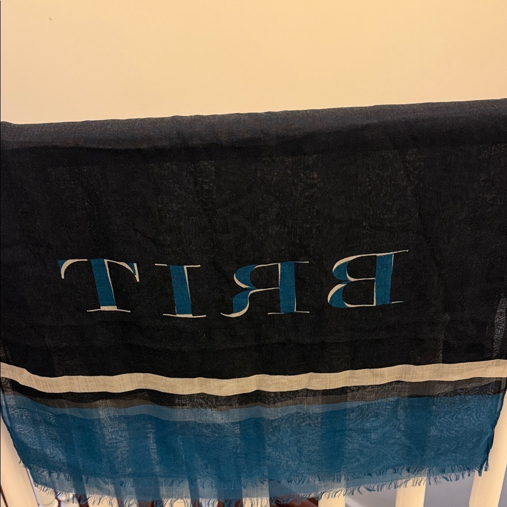 Black and Blue Sheer Scarf